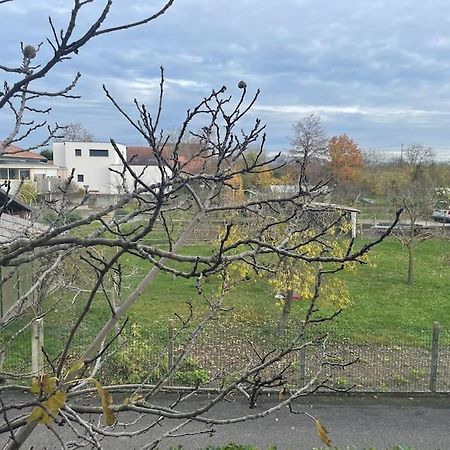 Appartamento La Grange Proche D'Europapark Kunheim Esterno foto