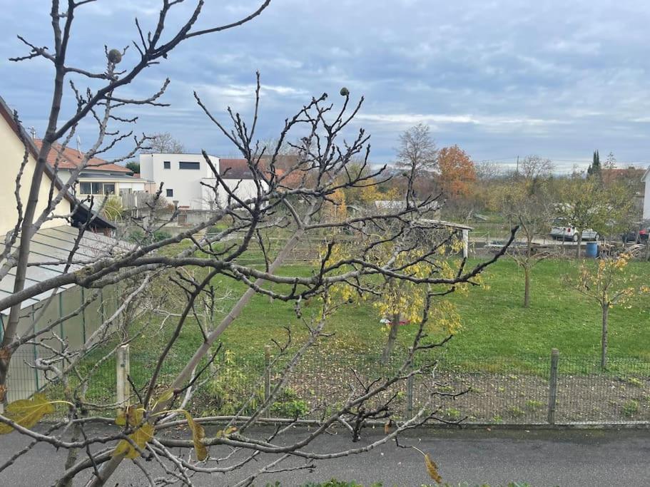 Appartamento La Grange Proche D'Europapark Kunheim Esterno foto