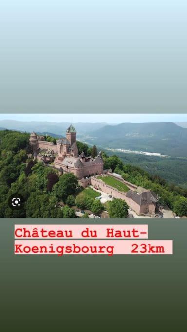 Appartamento La Grange Proche D'Europapark Kunheim Esterno foto
