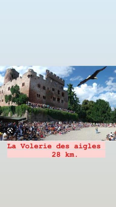 Appartamento La Grange Proche D'Europapark Kunheim Esterno foto