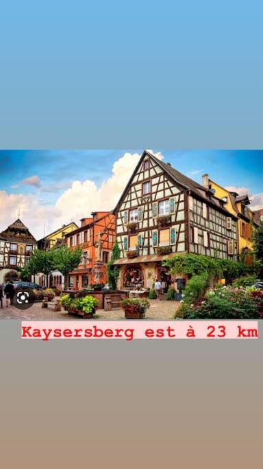 Appartamento La Grange Proche D'Europapark Kunheim Esterno foto