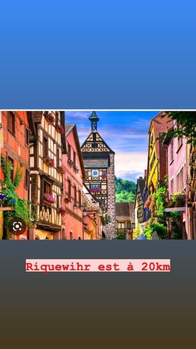 Appartamento La Grange Proche D'Europapark Kunheim Esterno foto