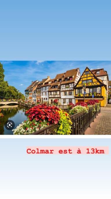 Appartamento La Grange Proche D'Europapark Kunheim Esterno foto