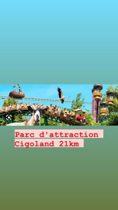 Appartamento La Grange Proche D'Europapark Kunheim Esterno foto
